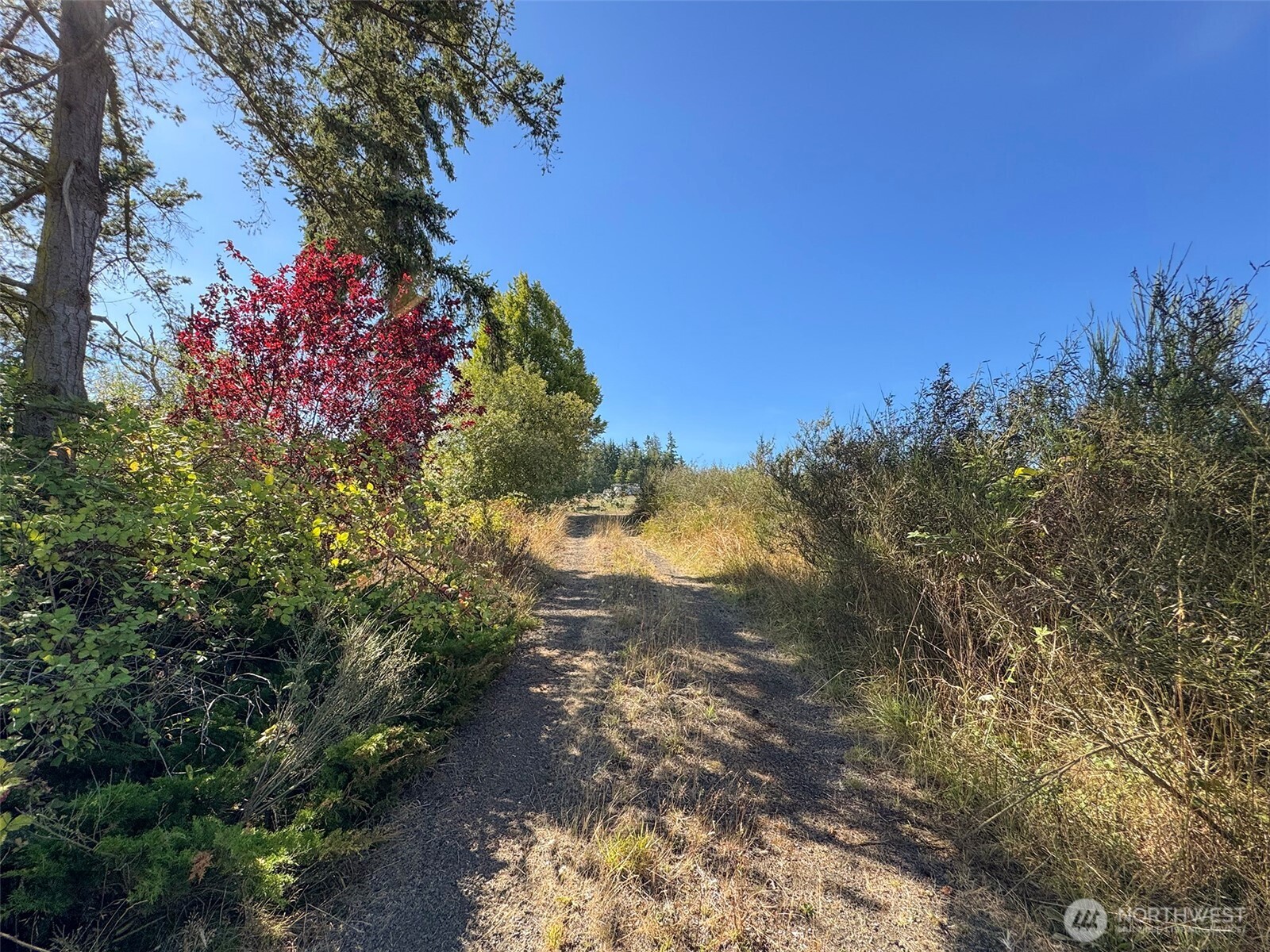 463 Miller Road , Sequim, WA 98382