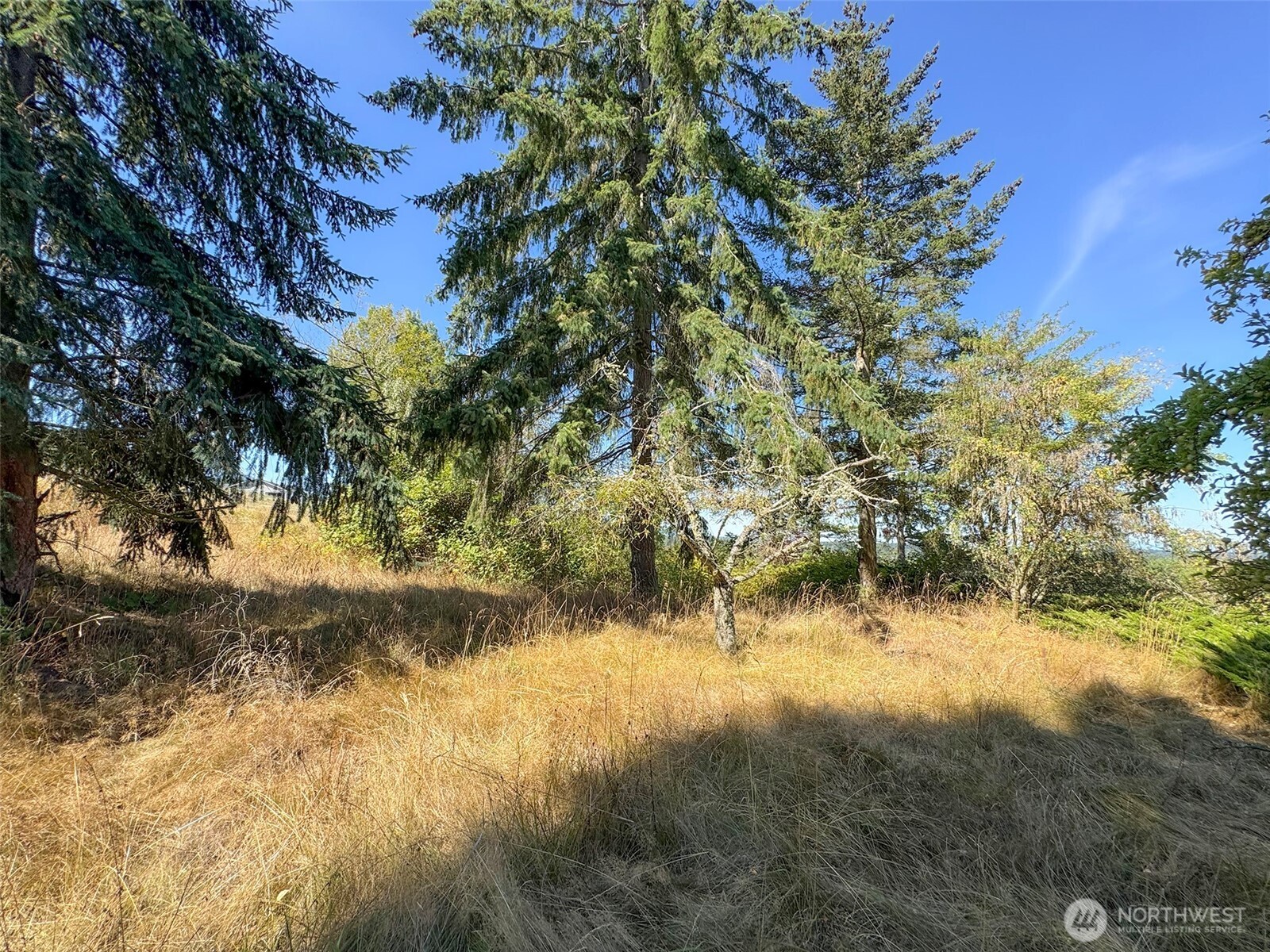 463 Miller Road , Sequim, WA 98382