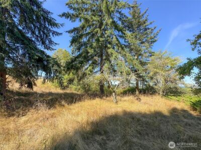 463 Miller Road , Sequim, WA 98382 - Photo 33
