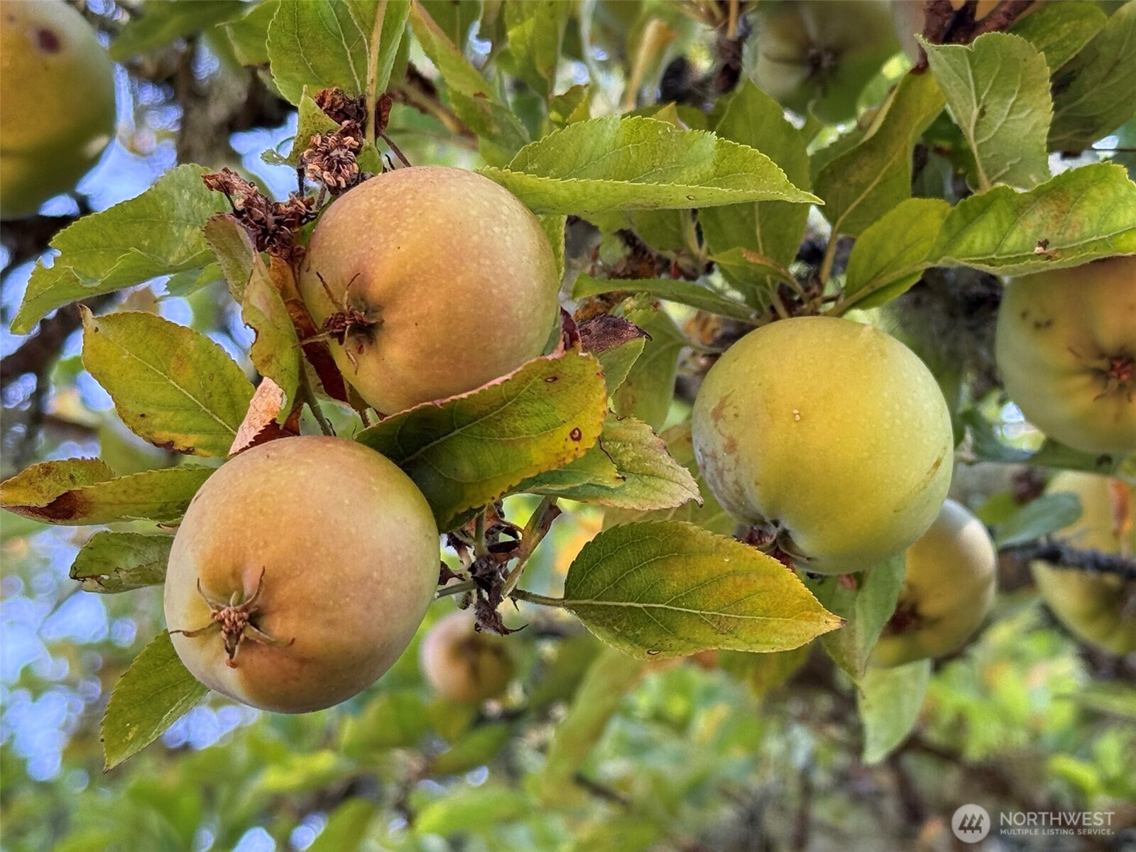 463 Miller Road , Sequim, WA 98382