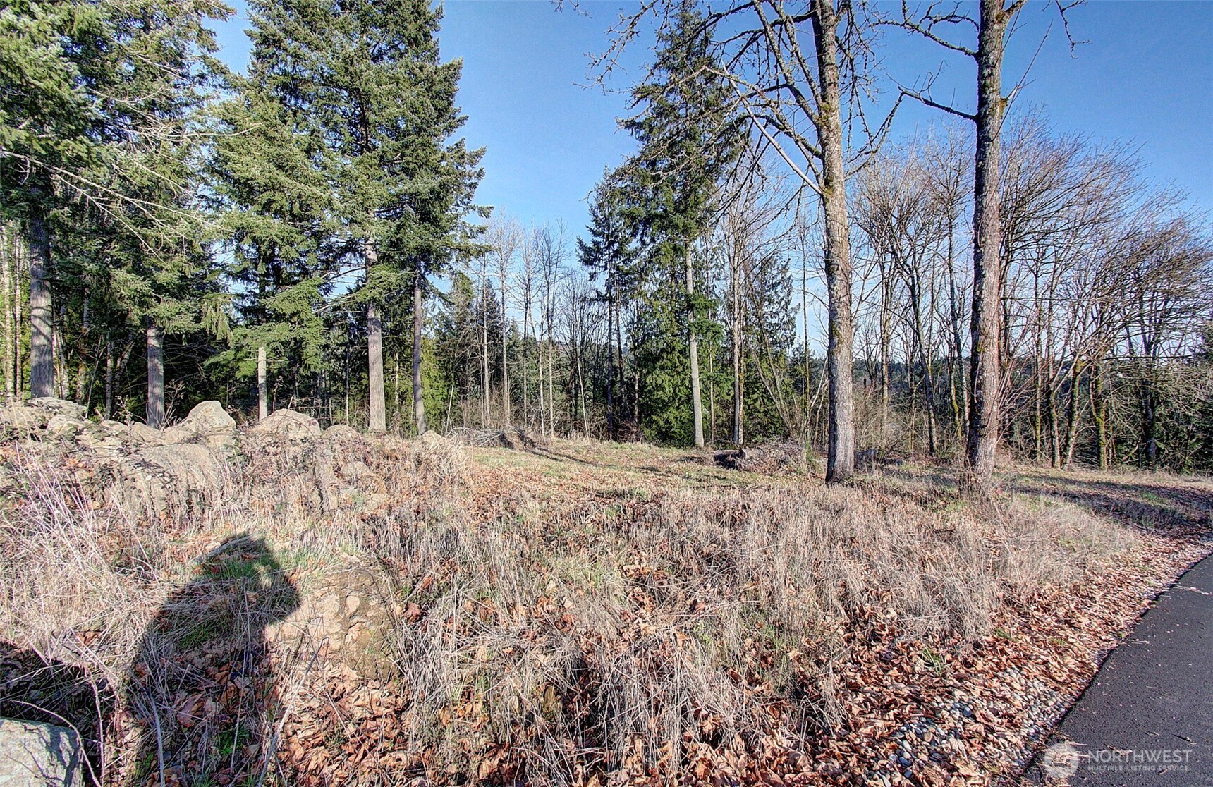 0 Olivia Lane #Lot X, Kalama, WA 98625