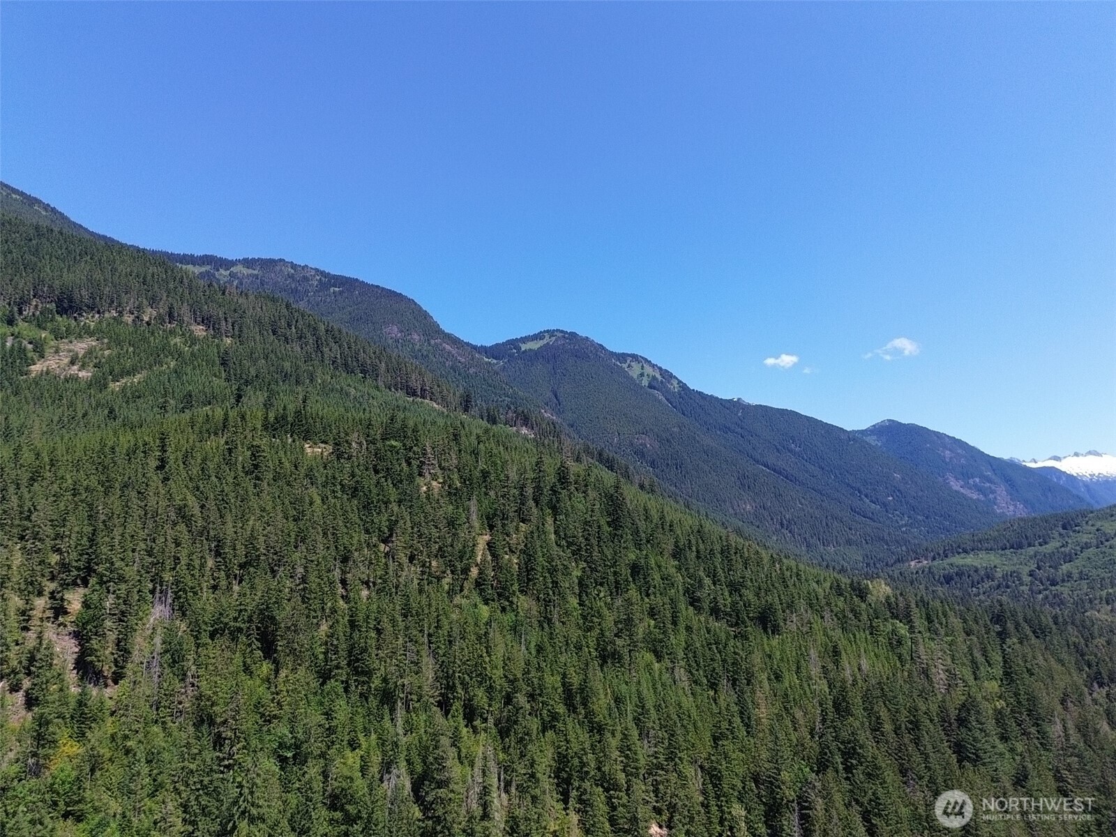 0 Cascade River Rd #D1-203, Marblemount, WA 98267