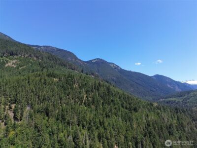 0 Cascade River Rd #D1-203, Marblemount, WA 98267 - Photo 26