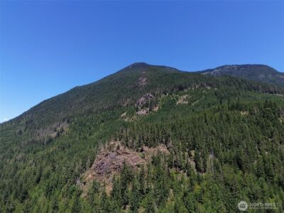 0 Cascade River Rd #D1-203, Marblemount, WA 98267 - Photo 28