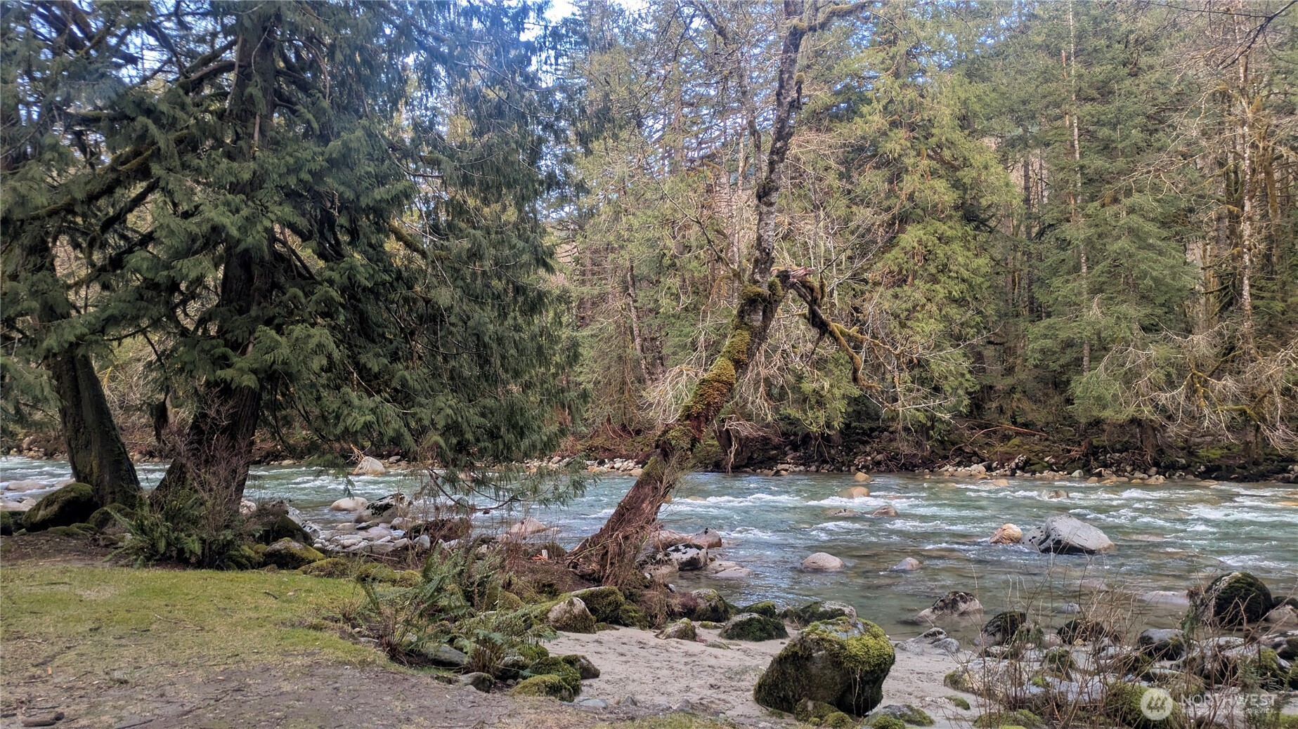 0 Cascade River Rd #D1-203, Marblemount, WA 98267