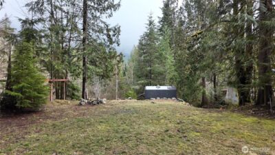 0 Cascade River Rd #D1-203, Marblemount, WA 98267 - Photo 8