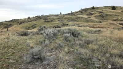 174 Round Up Road , Oroville, WA 98844 - Photo 11