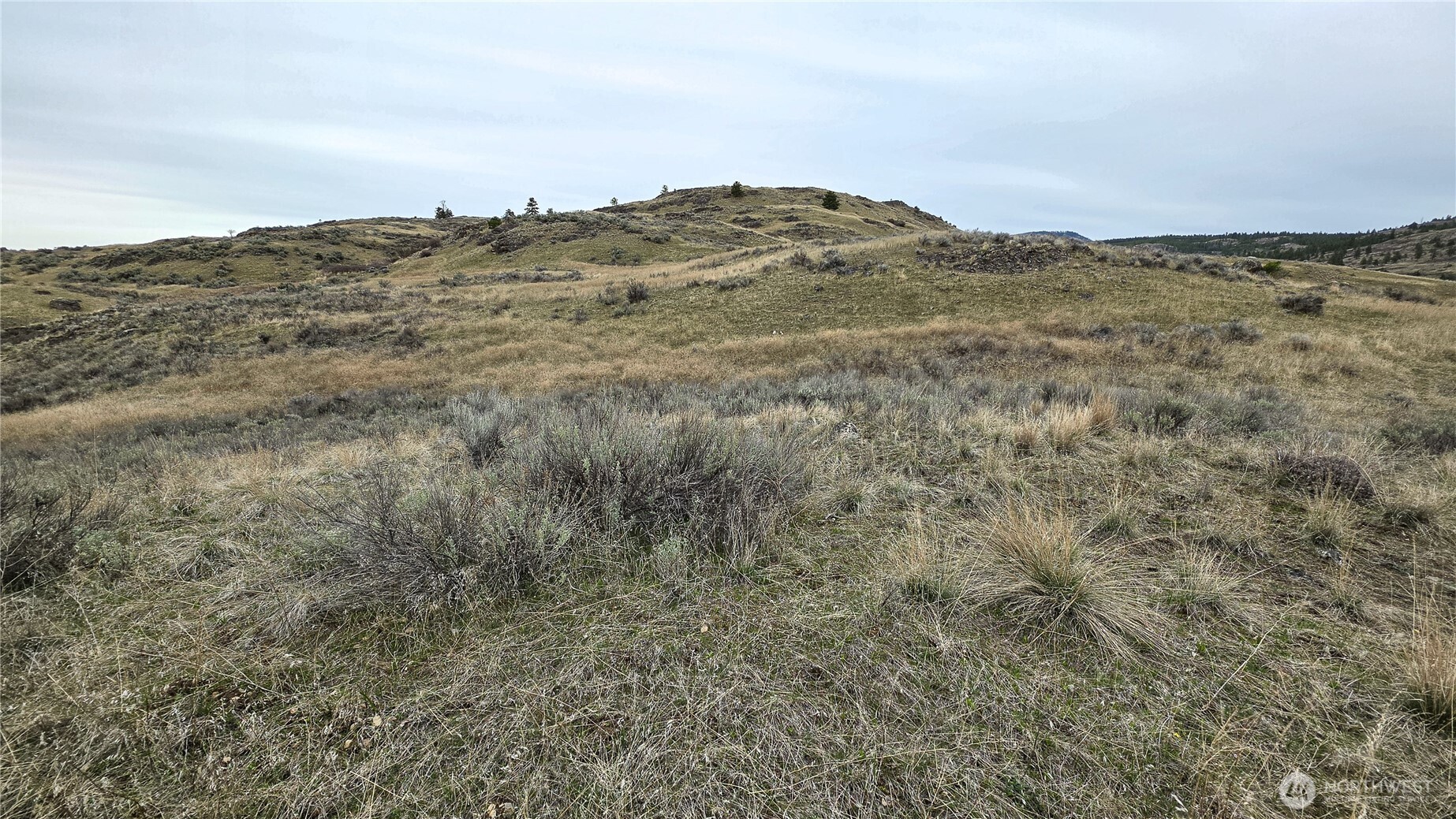 174 Round Up Road , Oroville, WA 98844