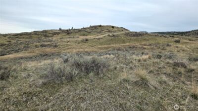 174 Round Up Road , Oroville, WA 98844 - Photo 13