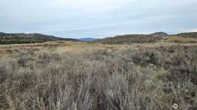 174 Round Up Road , Oroville, WA 98844 - Photo 19