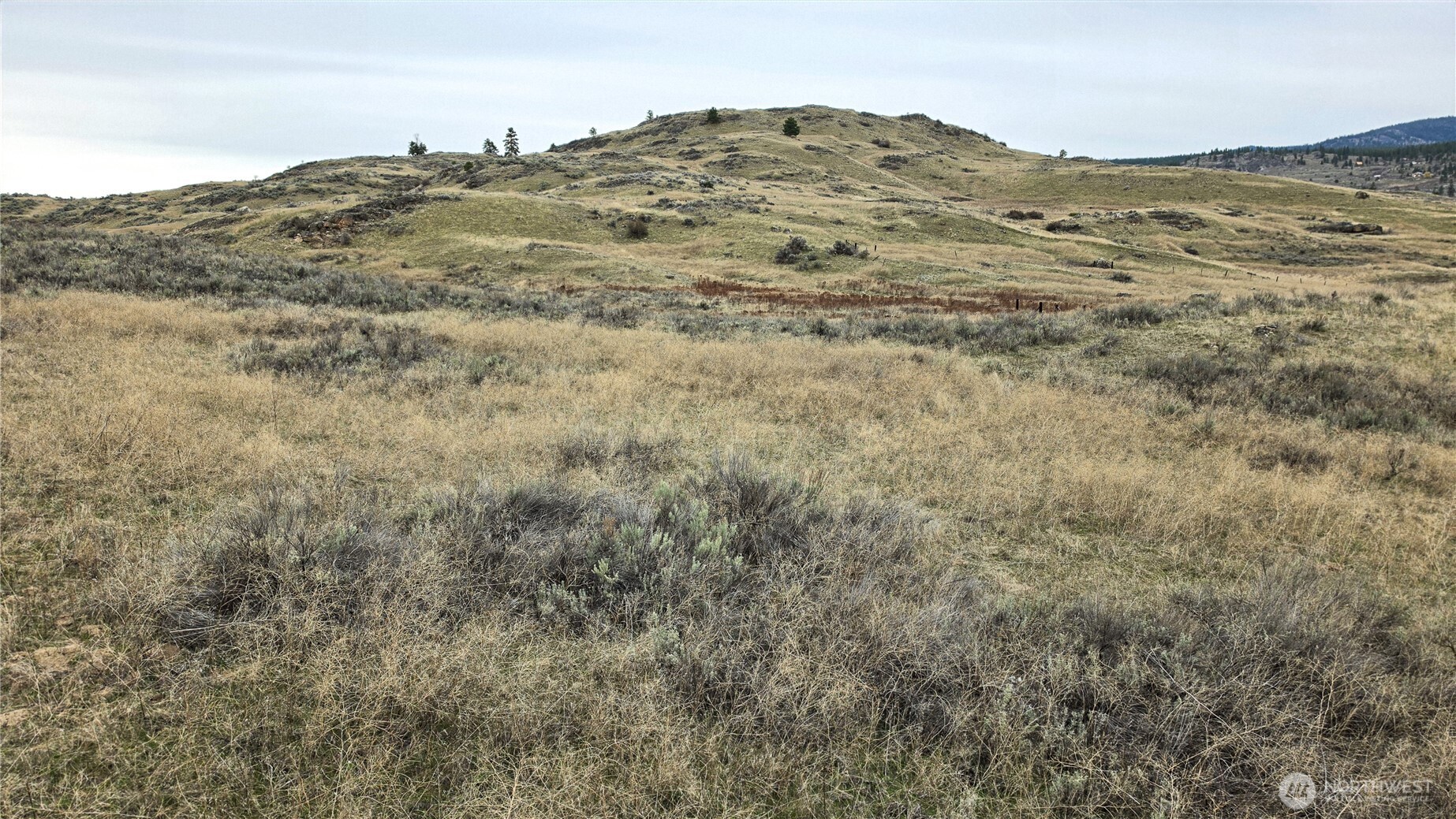 174 Round Up Road , Oroville, WA 98844