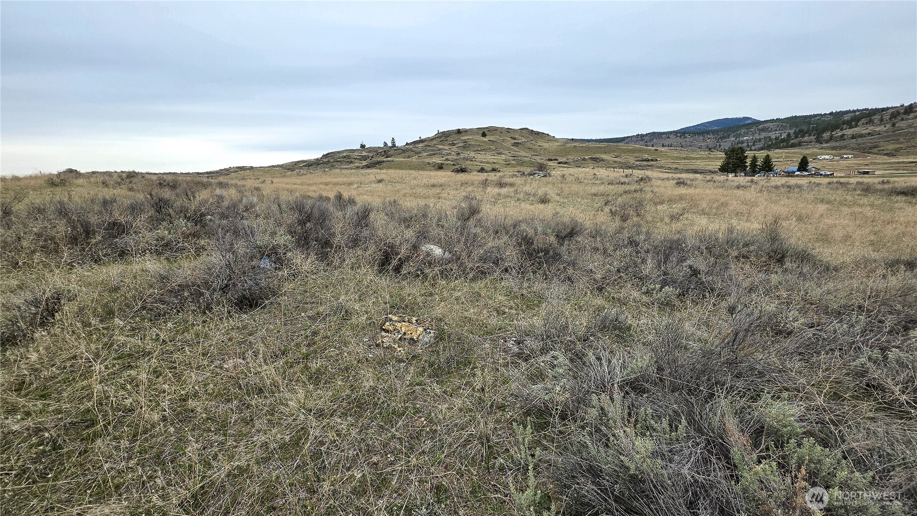 174 Round Up Road , Oroville, WA 98844