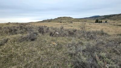 174 Round Up Road , Oroville, WA 98844 - Photo 25