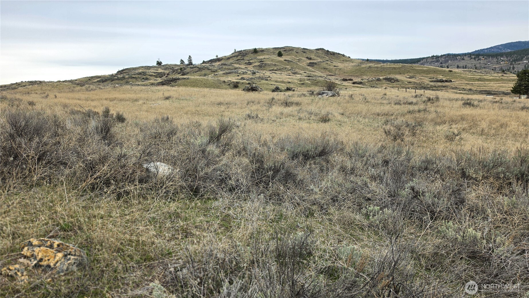 174 Round Up Road , Oroville, WA 98844