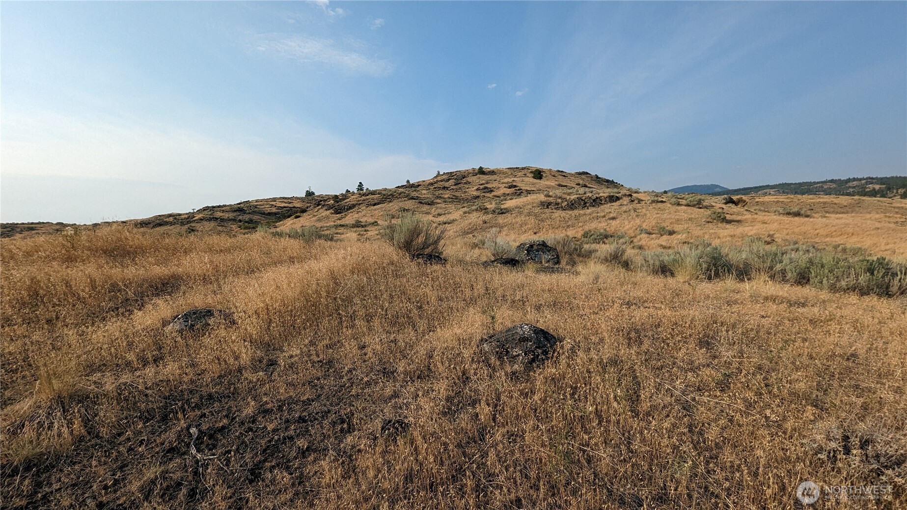 174 Round Up Road , Oroville, WA 98844