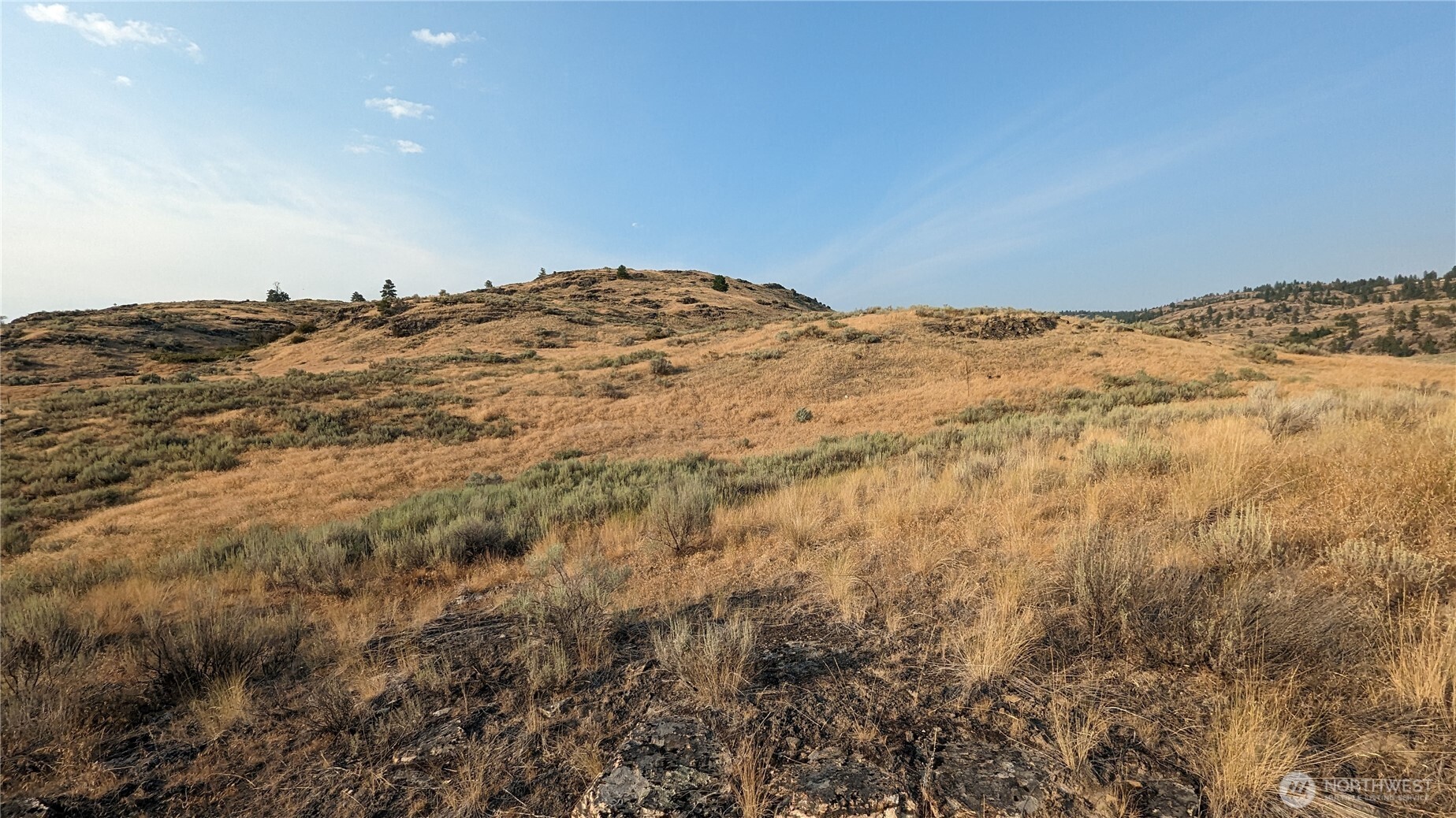 174 Round Up Road , Oroville, WA 98844