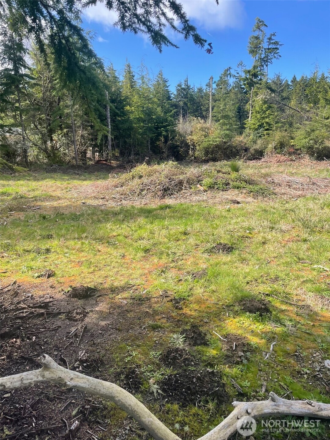 20100 Crane Place , Ocean Park, WA 98640