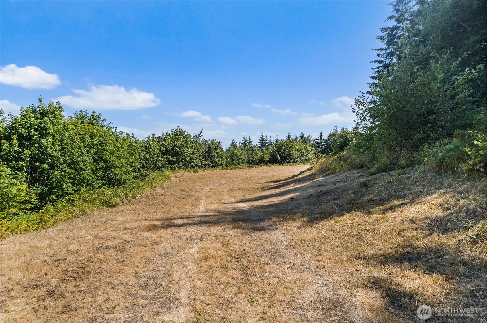 6440 19th Lane NW, Olympia, WA 98502