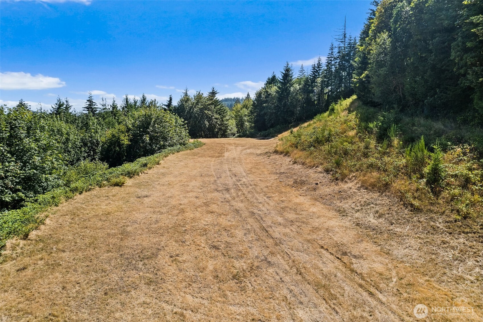 6440 19th Lane NW, Olympia, WA 98502