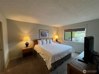 100 Lake Chelan Shores Drive #14-5, Chelan, WA 98816 - Photo 14