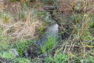 2929 S Fork Road , Raymond, WA 98577 - Photo 29