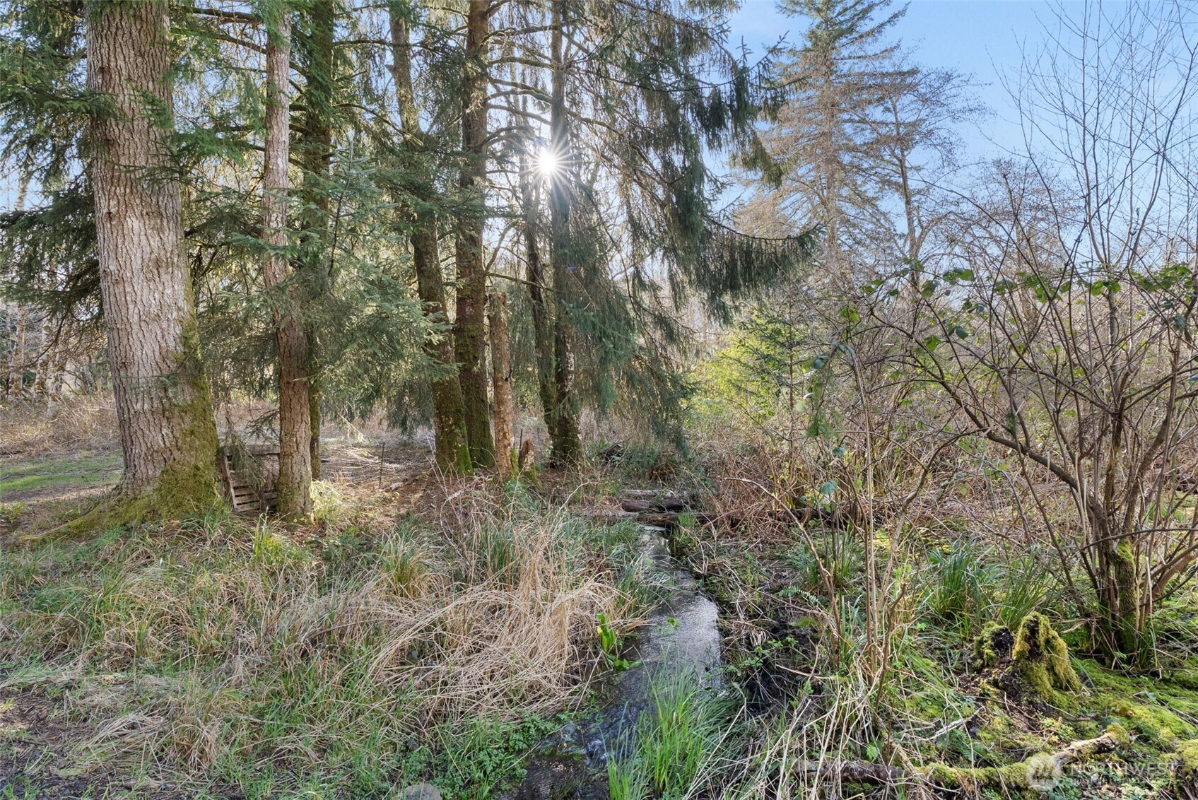 2929 S Fork Road , Raymond, WA 98577