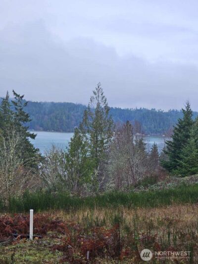 211 E Linda Vista Court , Union, WA 98592 - Photo 3