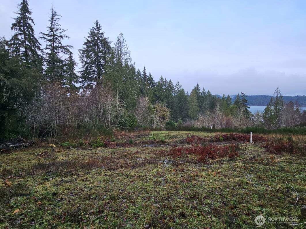 211 E Linda Vista Court , Union, WA 98592