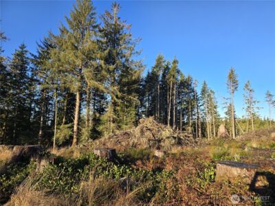 2753 State Route 101 , Ilwaco, WA 98624 - Photo 2