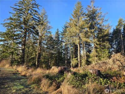 2753 State Route 101 , Ilwaco, WA 98624 - Photo 5