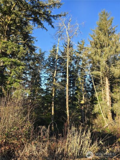 2753 State Route 101 , Ilwaco, WA 98624 - Photo 6