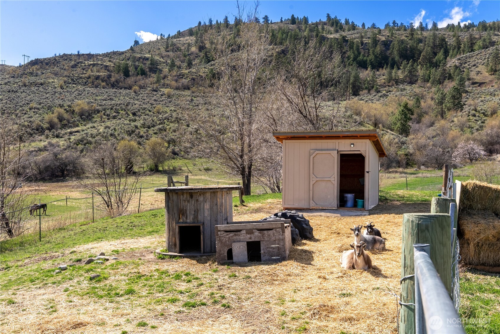 31 Rooster Flats , Oroville, WA 98844