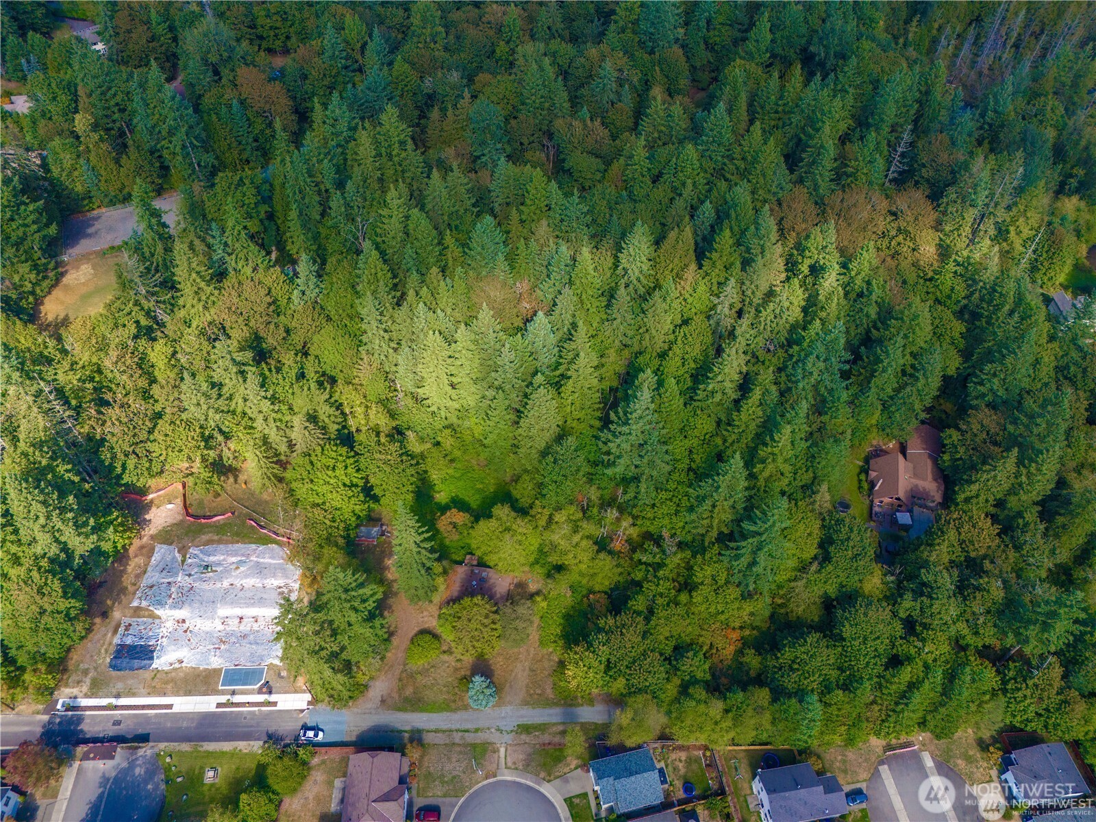 25010 SE 17th Street , Sammamish, WA 98075