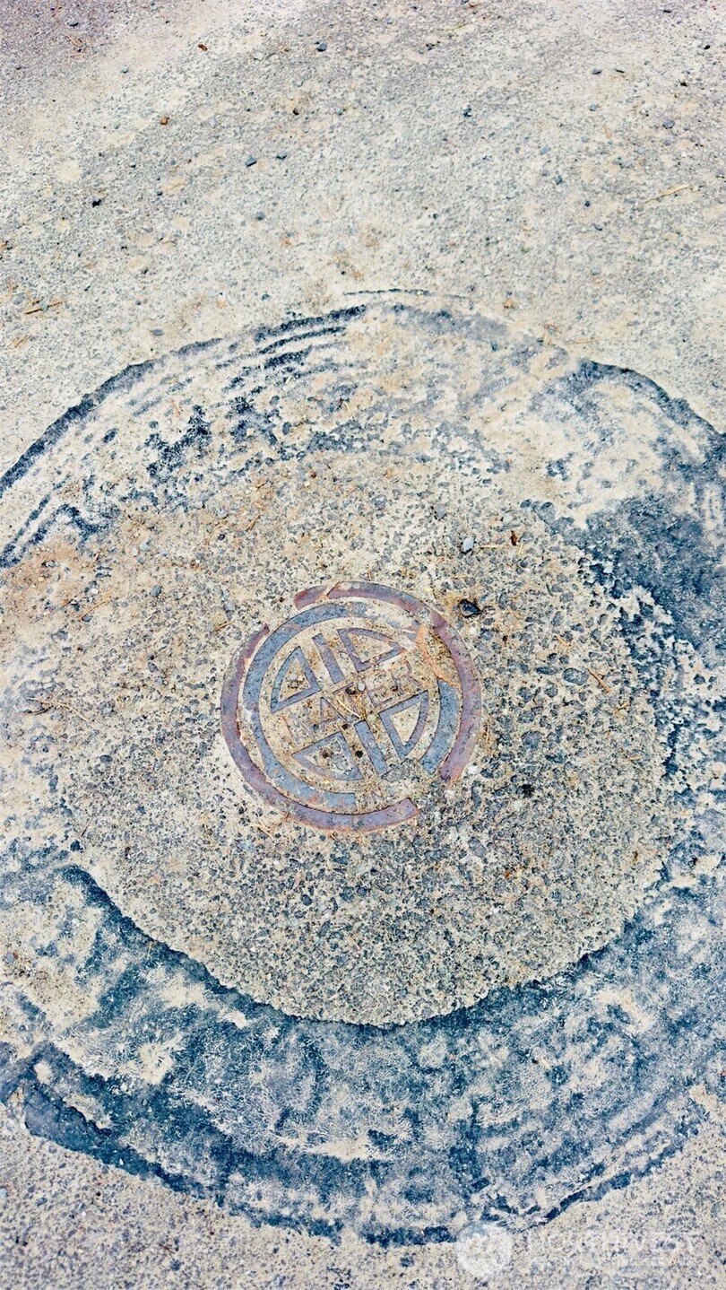 25010 SE 17th Street , Sammamish, WA 98075