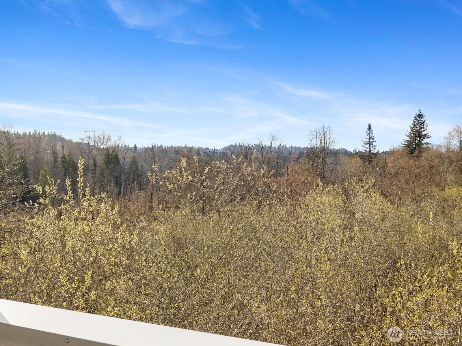 2244 132nd Avenue SE #B214, Bellevue, WA 98005