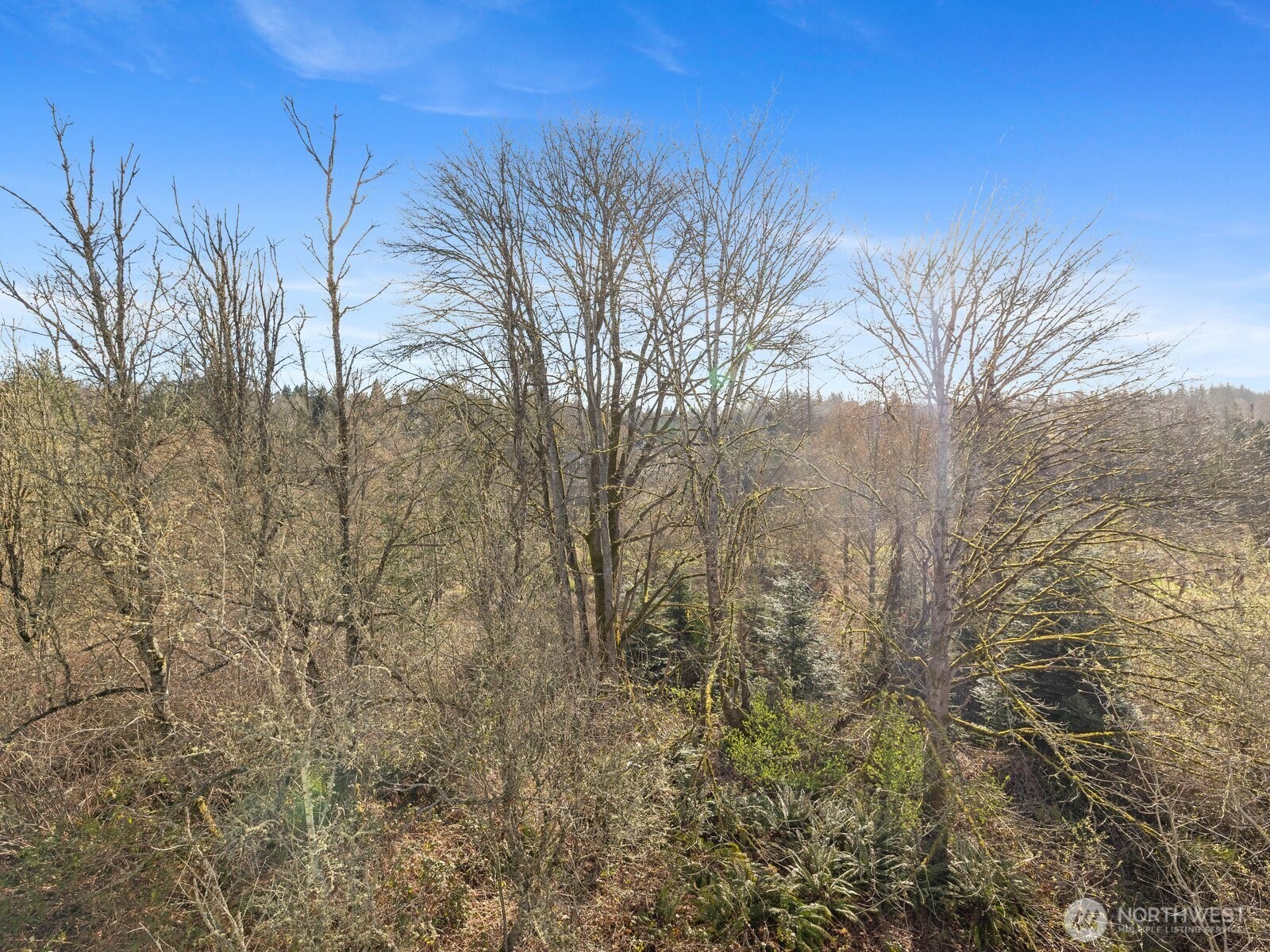 2244 132nd Avenue SE #B214, Bellevue, WA 98005