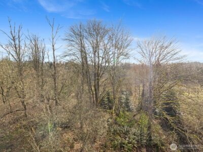 2244 132nd Avenue SE #B214, Bellevue, WA 98005 - Photo 37