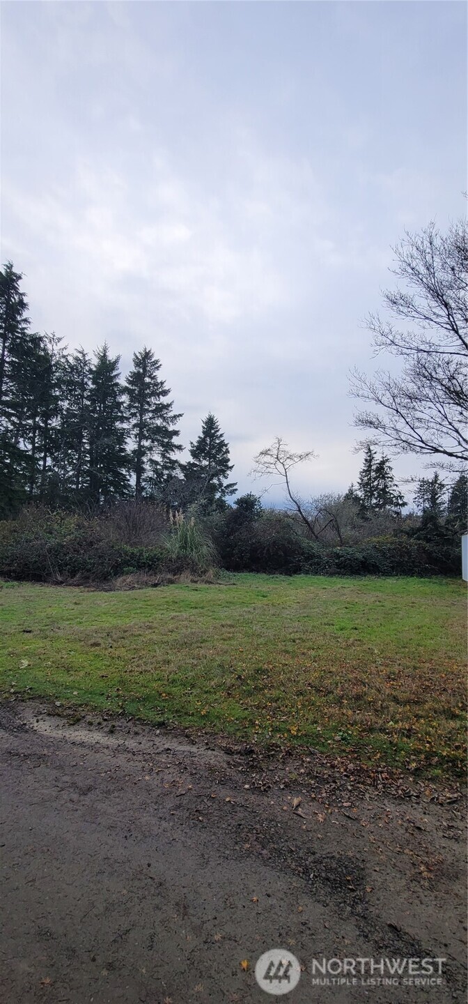 0 Y LN , Ocean Park, WA 98640