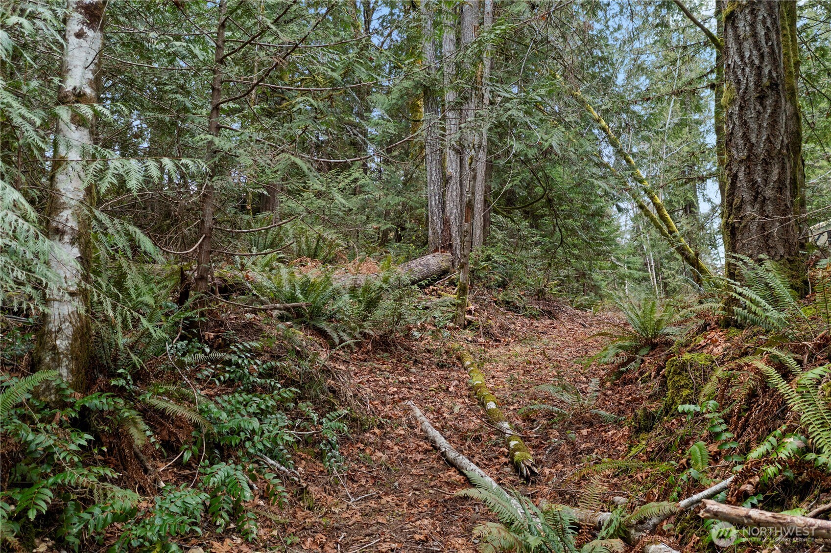 0 N Olympic Trails Drive , Lilliwaup, WA 98555