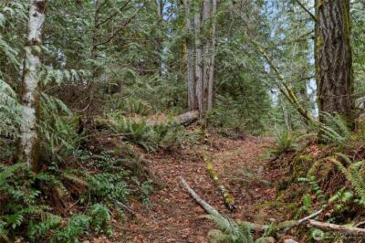 0 N Olympic Trails Drive , Lilliwaup, WA 98555 - Photo 1