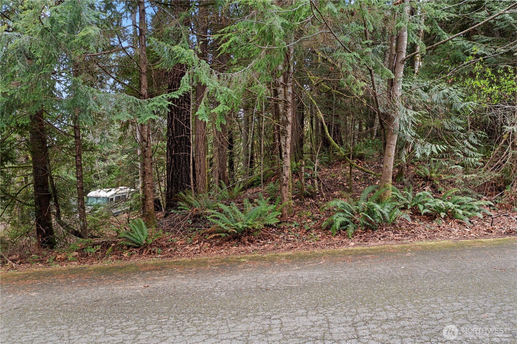0 N Olympic Trails Drive , Lilliwaup, WA 98555