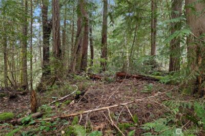 0 N Olympic Trails Drive , Lilliwaup, WA 98555 - Photo 10