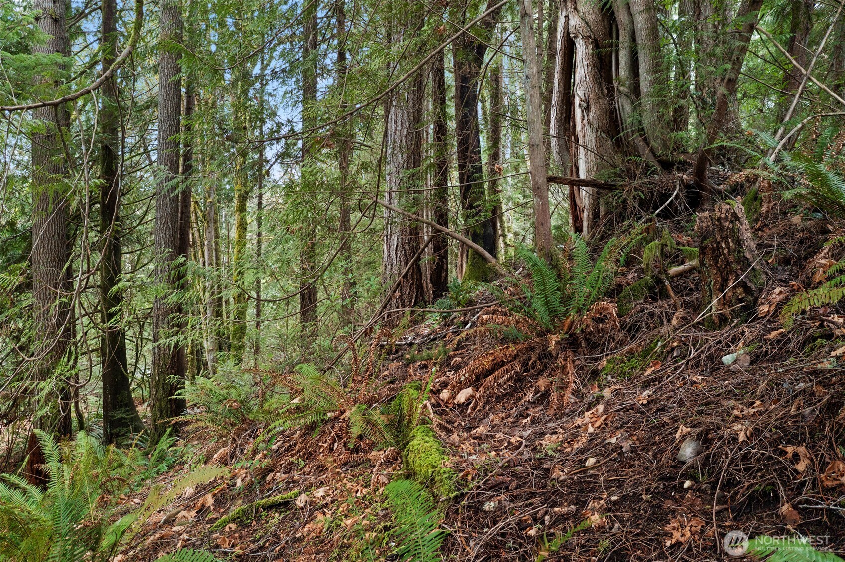0 N Olympic Trails Drive , Lilliwaup, WA 98555