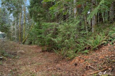 0 N Olympic Trails Drive , Lilliwaup, WA 98555 - Photo 12