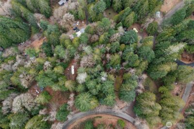 0 N Olympic Trails Drive , Lilliwaup, WA 98555 - Photo 16