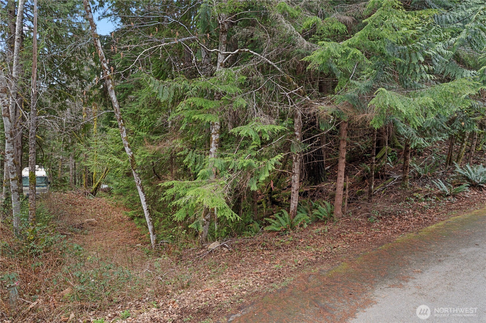 0 N Olympic Trails Drive , Lilliwaup, WA 98555