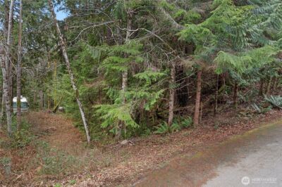 0 N Olympic Trails Drive , Lilliwaup, WA 98555 - Photo 17