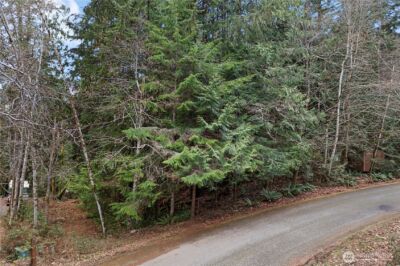 0 N Olympic Trails Drive , Lilliwaup, WA 98555 - Photo 18
