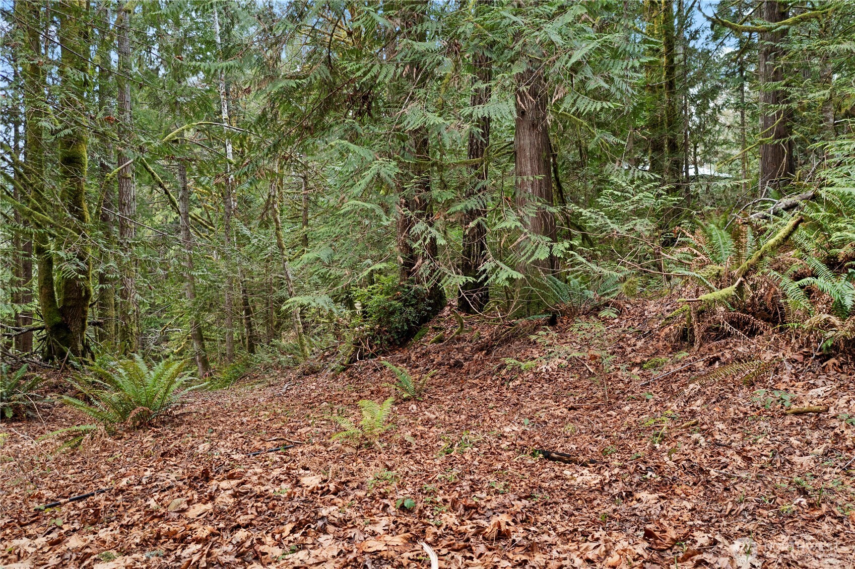 0 N Olympic Trails Drive , Lilliwaup, WA 98555