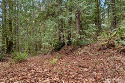 0 N Olympic Trails Drive , Lilliwaup, WA 98555 - Photo 3